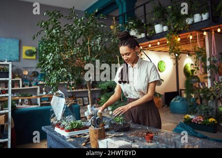 Konzentrierte niedliche Floristin, die in ihrer Werkstatt ein Pflanzentrarium kreiert Stockfoto