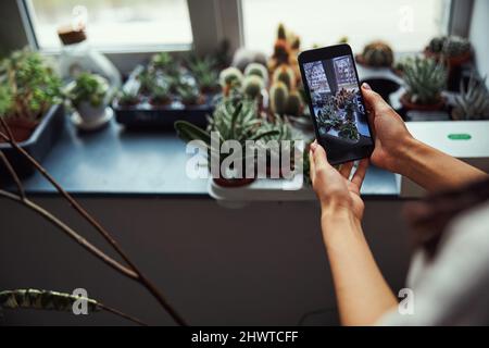 Blumenhändler fotografiert verschiedene exotische Pflanzen Stockfoto