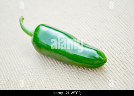 Ein perfekt gereifter Green Spicy Jalapeno Pfeffer Stockfoto