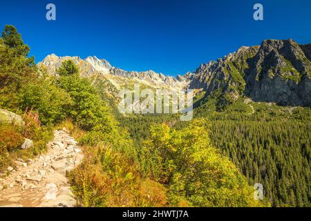 Wanderweg zum Popradske pleso See im Nationalpark hohe Tatra in der Herbstsaison, Slowakei, Europa. Stockfoto