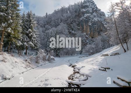 Verschneite Lichtung in Brasov Stockfoto