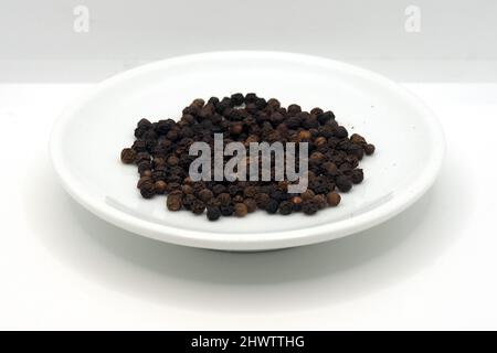 Schwarzer Pfeffer, Pfefferstrauch, Schwarzer Pfeffer, Piper nigrum, fekete bors Stockfoto