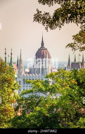 Das ungarische Parlamentsgebäude in Budapest, Ungarn, Europa. Blick durch die Bäume bei Sonnenaufgang. Stockfoto