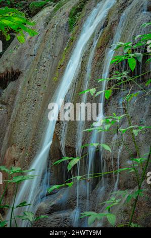 Foto zeigt felsige Schlucht, in der ein Gebirgsfluss fließt. Der Fluss fließt durch riesige Steinblöcke. Die bezaubernde Tierwelt der karibischen Insel begeistert mit Witz Stockfoto