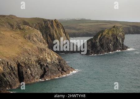 Blick auf Kynance Cove, in der Nähe von Lizard Point. Dieser Ort an der Südküste von Cornwall ist ein sehr wilder Ort mit dramatischen Landschaften zu sehen. Stockfoto