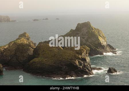 Blick auf Kynance Cove, in der Nähe von Lizard Point. Dieser Ort an der Südküste von Cornwall ist ein sehr wilder Ort mit dramatischen Landschaften zu sehen. Stockfoto