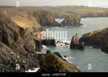 Blick auf Kynance Cove, in der Nähe von Lizard Point. Dieser Ort an der Südküste von Cornwall ist ein sehr wilder Ort mit dramatischen Landschaften zu sehen. Stockfoto