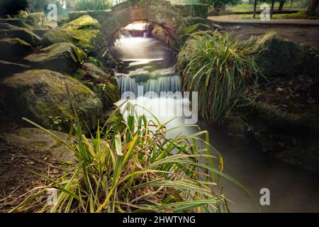 Intime Landschaft des Flusses Wandle im Beddington Park, Greater London, England Stockfoto