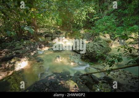 Berglauf zwischen riesigen Felsen in weald. Bergrill im Morast mit tropischen Pflanzen und frischen Kräutern. Wildtiere in exotischem wildholz mit Fluss ston Stockfoto