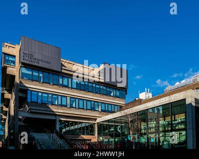 Cambridge University Museum für Zoologie - wiedereröffnet Jun 2018 nach 4 Jahr renoviert werden. Hauptgebäude ist die renovierte David Attenborough Gebäude. Stockfoto