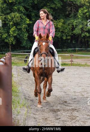 Junge Frau mit Hemd auf braunem Pferd im Sandpaddock am Holzzaun, Haare bewegen sich wegen der Geschwindigkeit in der Luft Stockfoto