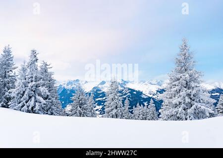 Winterwunderland in den europäischen Alpen. Schneebedeckte Bäume auf dem Berg. Stockfoto