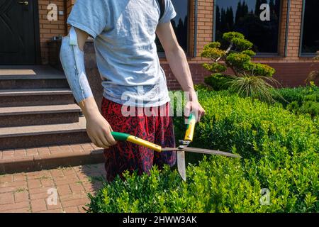 Ein Mann mit einem amputierten Arm und einer Prothese trimmt Büsche in einem Garten Stockfoto