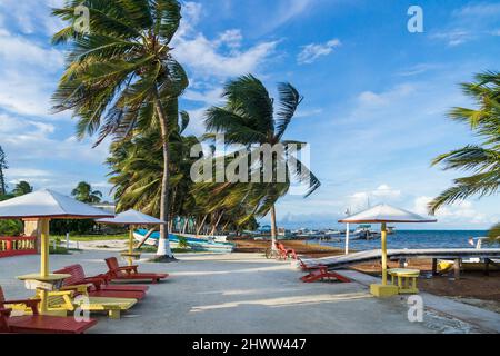 Strandidylle mit Stühlen und Sonnenschirmen mit Palmen auf der Insel Caye Caulker, Belize Stockfoto