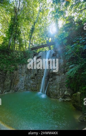 Foto zeigt felsige Schlucht, in der ein Gebirgsfluss fließt. Der Fluss fließt durch riesige Steinblöcke. Die bezaubernde Tierwelt der karibischen Insel begeistert mit Witz Stockfoto