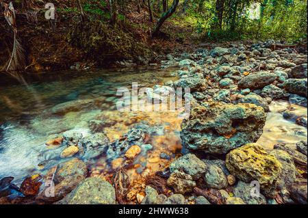 Berglauf zwischen riesigen Felsen in weald. Bergrill im Morast mit tropischen Pflanzen und frischen Kräutern. Wildtiere in exotischem wildholz mit Fluss ston Stockfoto