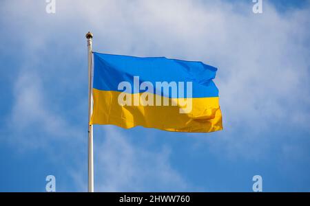 Ukrainische Flagge, auf Fahnenmast fliegen und flattern in der Sonne mit Hintergrund von Wolke und blauem Himmel Stockfoto