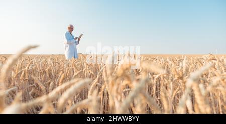 Landwirtschaft Wissenschaftler forschen in Korn test Feld Tracking Daten Stockfoto