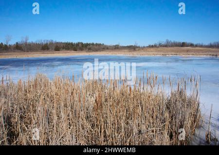 Richard Bong Erholungsgebiet im Winter, KANSASVILLE, Wisconsin. Stockfoto