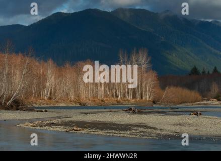 Winter auf dem Hoh River, Olympic Peninsula, Washington Stockfoto