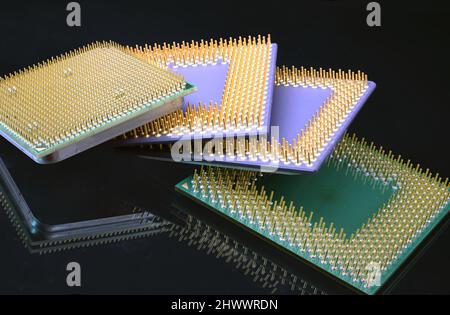 Mehrere Generationen von Computer-CPUs in einer Nahaufnahme, die die goldenen Stifte zeigt Stockfoto