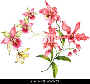 Blumenmuster Design floralen seamless botanischen tropischen Bakkground Stockfoto