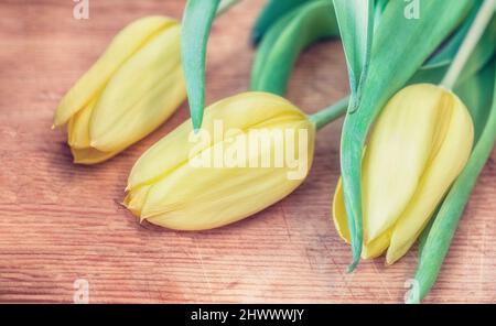 Gelbe Tulpen in Blüte auf einem Schneidebrett mit Kopierfläche. Natürlicher Hintergrund für Frühling, Ostern, Passah, Muttertag und ähnliche Themen. Stockfoto