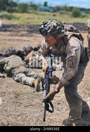 Ein US-Armeesoldat der Bravo Company, 3. Brigade, 2. Bataillon, 27. Infanterie-Regiment, 25. Infanterie-Division führt Live-Feuerübungen zur Unterstützung von Salaknib in Fort Magsaysay, Philippinen, durch 6. März 2022. Fast 1.100 US Army Pacific Soldaten werden gemeinsam mit ihren philippinischen Kollegen an Salaknib teilnehmen, um die Interoperabilität zu verbessern und unsere Partnerschaft im gesamten Indo‐Pazifik zu stärken. (USA Armeefoto von SPC Joshua Oller/28. Public Affairs Detachment) Stockfoto