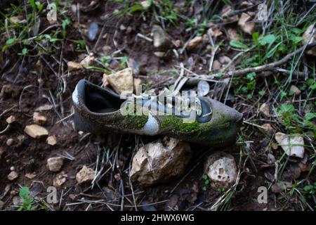 Verlassene Nike Schuhe, die im Wald mit Moos bedeckt sind Stockfoto