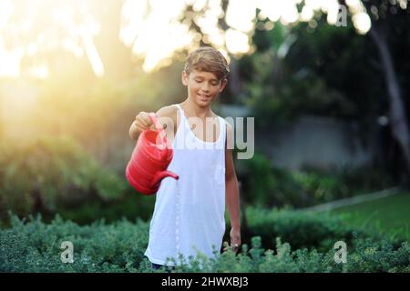 Ich fütterte meine Pflanzen, um ihnen zu helfen, zu wachsen. Kurzer Schuss eines Jungen, der Pflanzen in einem Garten wässert. Stockfoto