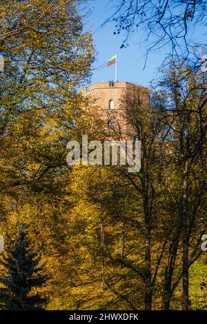 Auf dem Hügel Gediminas Castle Tower, heute ein Museum, über dem Cathedral Square in der Altstadt von Vilnius, Hauptstadt von Litauen, Osteuropa Stockfoto