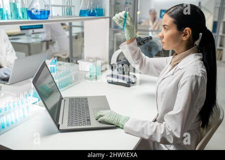 Junge, seriöse Laborarbeiterin in einer Weißkochflasche, die am Arbeitsplatz vor einem Laptop sitzt und blaue Flüssigkeit in einem Kolben ansieht Stockfoto