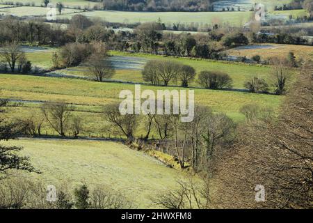 Frühlingsmorgen in Lurganboy, County Leitrim, Irland, mit von Bäumen gesäumten Feldern mit froststaubigen Weiden Stockfoto