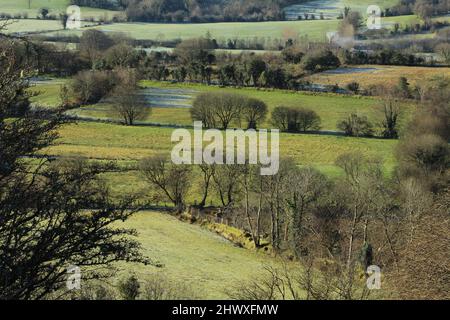 Frühlingsmorgen in Lurganboy, County Leitrim, Irland, mit von Bäumen gesäumten Feldern mit froststaubigen Weiden Stockfoto