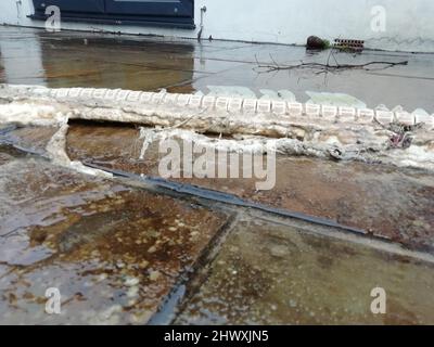 Backing Shark Backbone (hinterer Abschnitt) gefunden am Southbourne Beach, Dorset, UK nach Stürmen am 01. März 2022, gemessen über 1,2m. Die Baschhaie sind der zweitgrößte Hai der Welt und können bis zu 12m lang wachsen.Quelle: Ali Wood/Alamy Live News Stockfoto