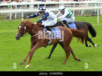 Aktenfoto vom 19-08-2021 von Zain Claudette unter Ray Dawson. Ausgabedatum: Dienstag, 8. März 2022. Stockfoto