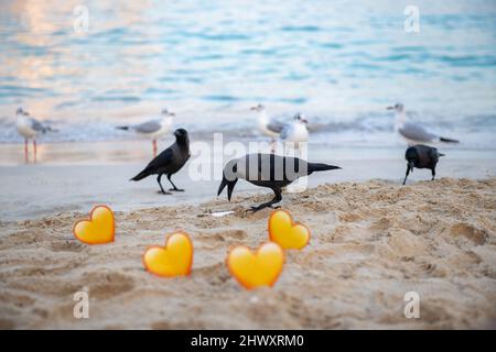 Ein Vogel, der am Strand ein gelbes Herz im Schnabel hält Stockfoto