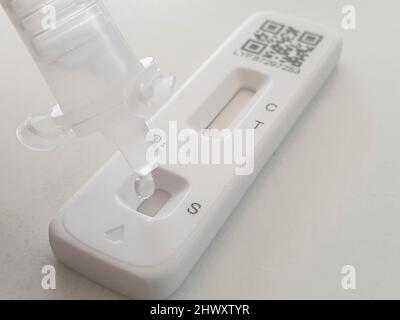 Eine kovide Abstrichprobe in Pufferlösung wird auf die Testkassette eines FlowFlex-Lateral-Flow- oder Rapid-Antigen-Tests abgeworfen. Stockfoto