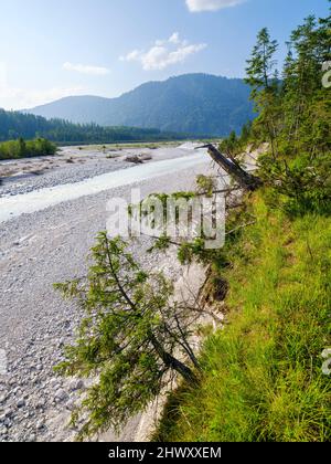 Rissbach, einer der wenigen wilden Flechtflüsse in Deutschland, in der Nähe des Dorfes Vorderriss im Karwendelgebirge. Europa, Deutschland, Bayern Stockfoto