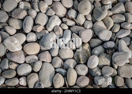 Kieselsteinhintergrund, Draufsicht Stockfoto