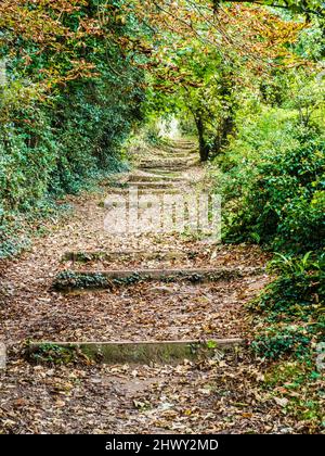 Teil des South West Coast Path in der Nähe von St. Mary's Bay, Brixham, Devon. Stockfoto