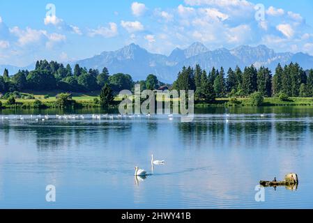 Morgen Sommer am idyllischen See in der Nähe von Lechbruck Lech in Bayern Stockfoto