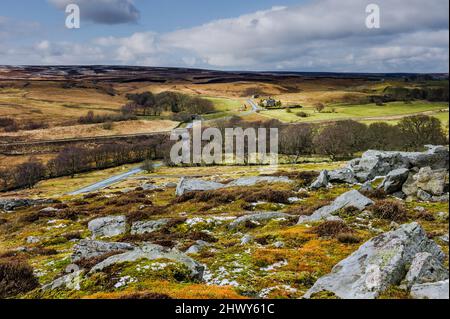 North York Moors mit bunt blühenden Gräsern mit Flecken von Heidekraut und Bäumen und größeren Felsbrocken unter hellblau bewölktem Himmel im Frühjahr. VEREINIGTES KÖNIGREICH. Stockfoto