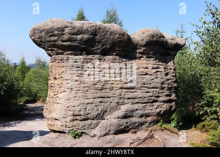 Steinpilze - Felsformation in den Broumov Wänden (Broumovske steny), Gebirge und Naturschutzgebiet, Teil des Tafelgebirges in der Tschechischen Republik Stockfoto