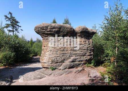 Steinpilze - Felsformation in den Broumov Wänden (Broumovske steny), Gebirge und Naturschutzgebiet, Teil des Tafelgebirges in der Tschechischen Republik Stockfoto