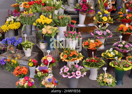 Bunte Blumen in Vasen vor dem Blumengeschäft in Wien Österreich ausgestellt. Stockfoto