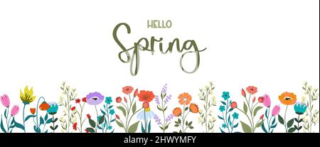 Banner oder Blumenhintergrund mit leuchtend bunten blühenden Blumen und Blättern am unteren Rand verziert. Handgezeichnete botanische Illustration für dekorative Stock Vektor