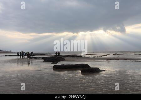 Besucher bei einer Führung durch die antiken Überreste eines 4000 Jahre alten Waldes, Bulverhythe, Hastings, East Sussex, Großbritannien Stockfoto