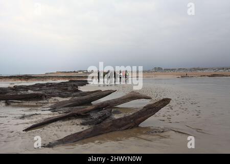 Besucher bei einer Führung durch die antiken Überreste eines 4000 Jahre alten Waldes, Bulverhythe, Hastings, East Sussex, Großbritannien Stockfoto