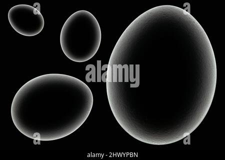 Abstraktes Objekt oder Hintergrund. Silhouette von Hühnereier auf schwarzem Hintergrund. Thema der Geburt des Lebens. Konzept. Speicherplatz kopieren. Leerer Raum zum Einfügen eines Embryonenbildes auf schwarzem Hintergrund Stockfoto